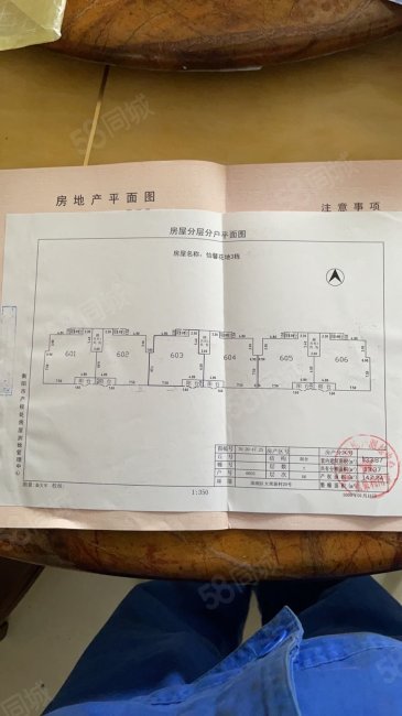 怡馨花地6室4厅4卫250㎡南北75万