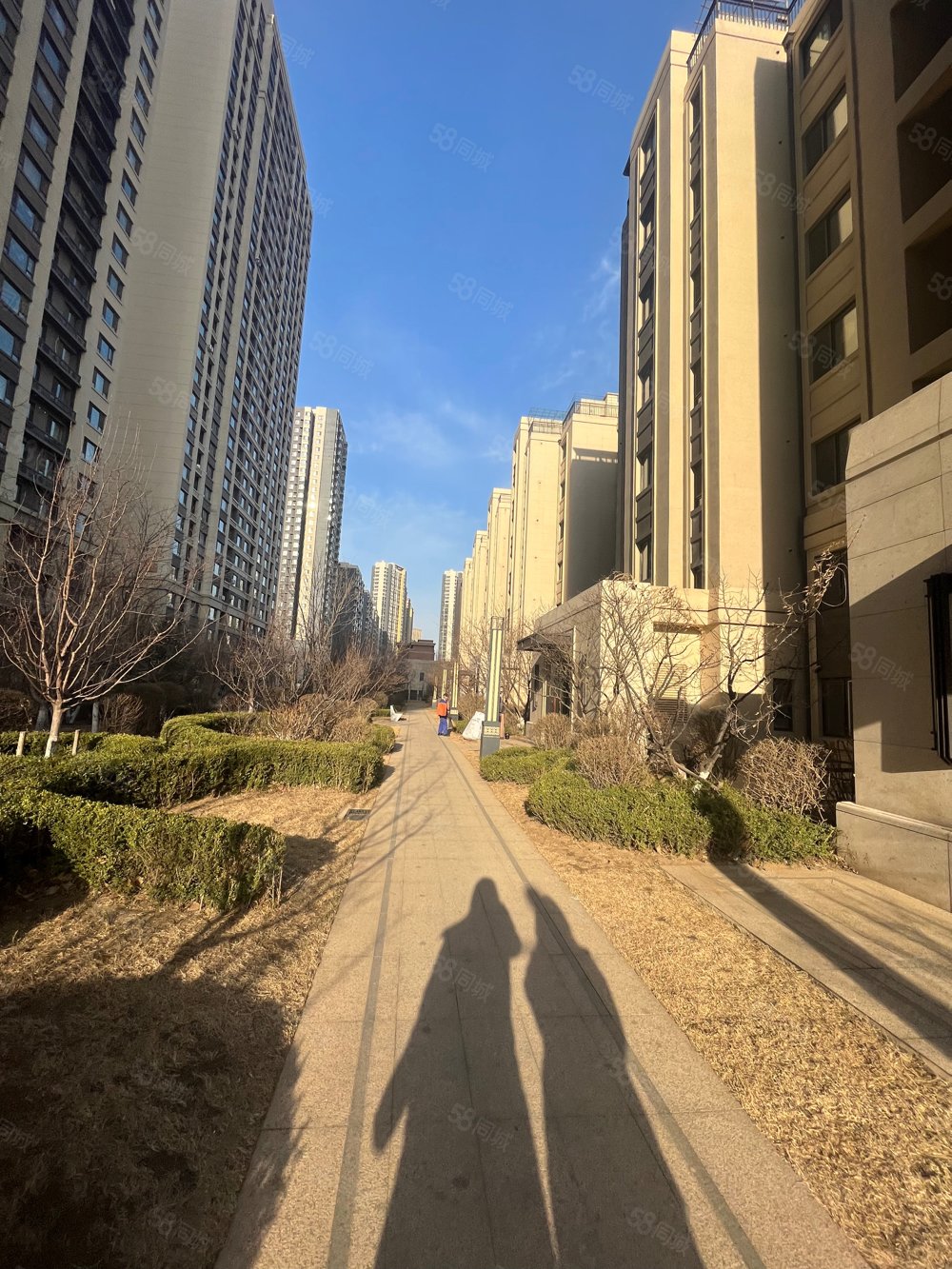 【10图】九零就出 新园区 一手 龙湖岸芷汀兰,龙湖岸芷汀兰-沈阳58