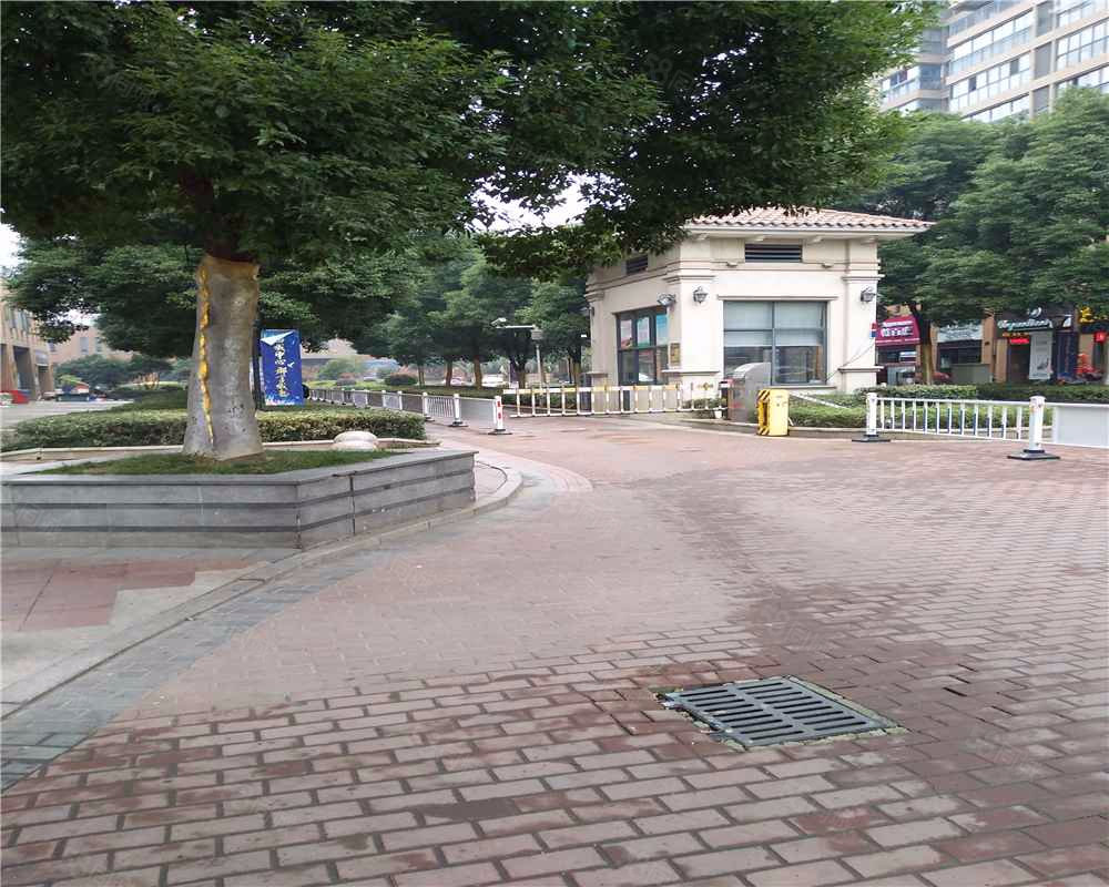 泰盈八千里