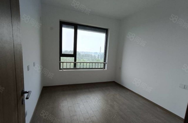 三叶草户型 民生 新房未住 新一中 培文 外国语 天悦 明康