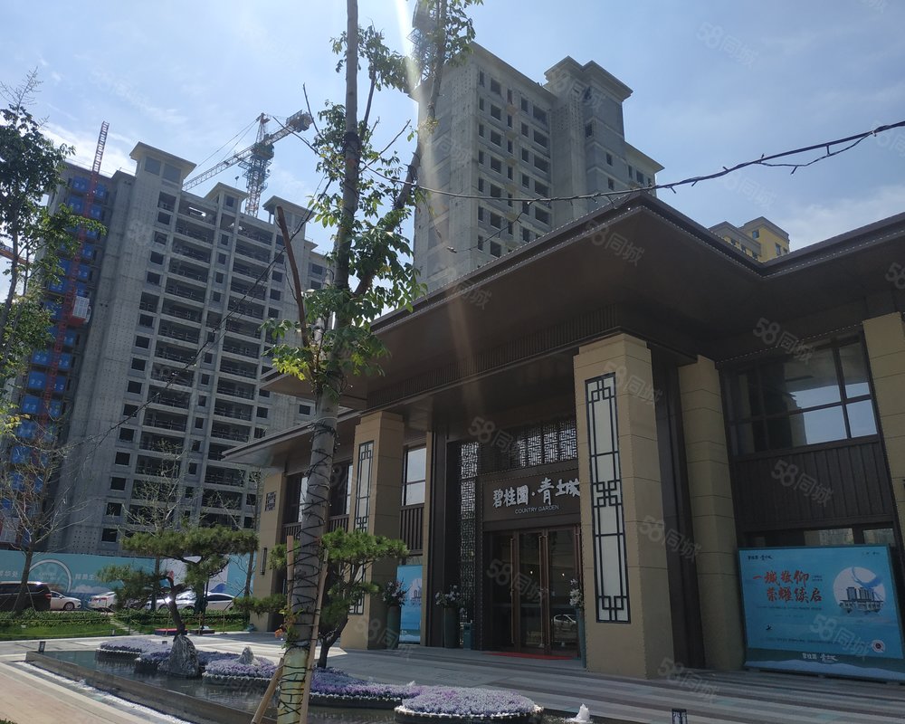 碧桂园青城绕城高速以外