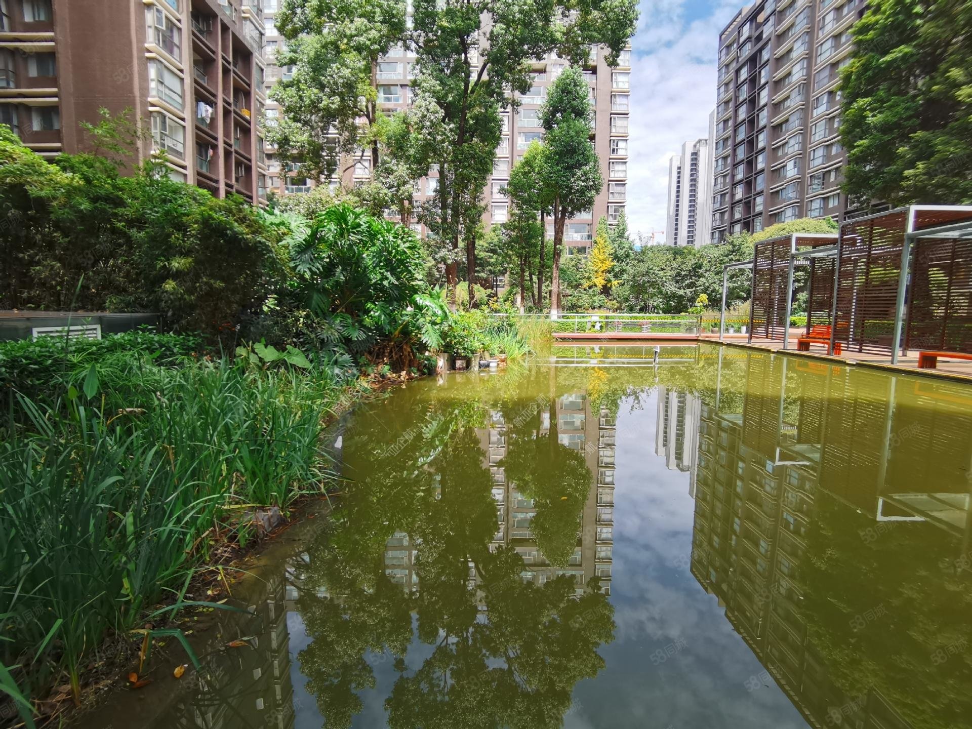 3房123平205万香樟俊园东北毛坯19楼吴井路