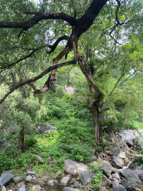 红门风景区内罗汉崖上下两层不动产证观山景地势高