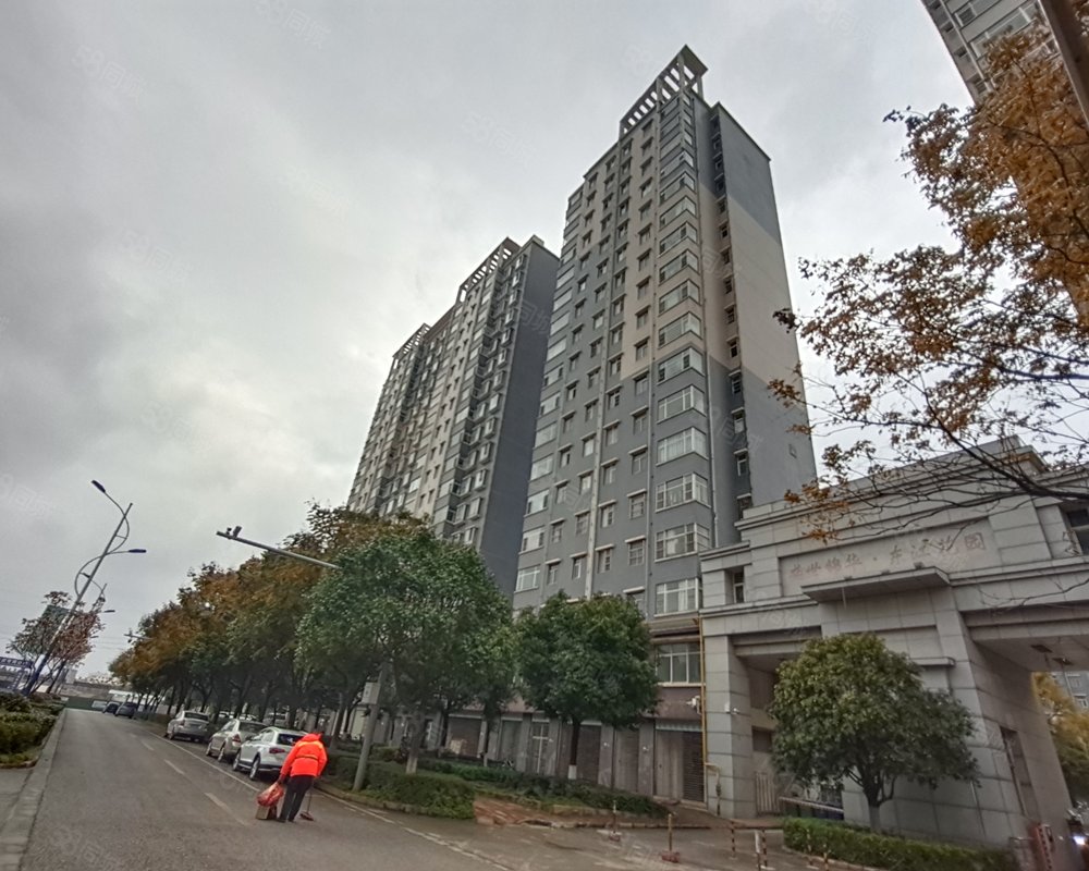 盛世锦华东江花园三期