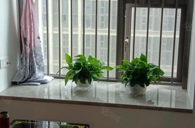 招商岸芷汀兰二期(商住楼)2室1厅38.18㎡30万二手房图片