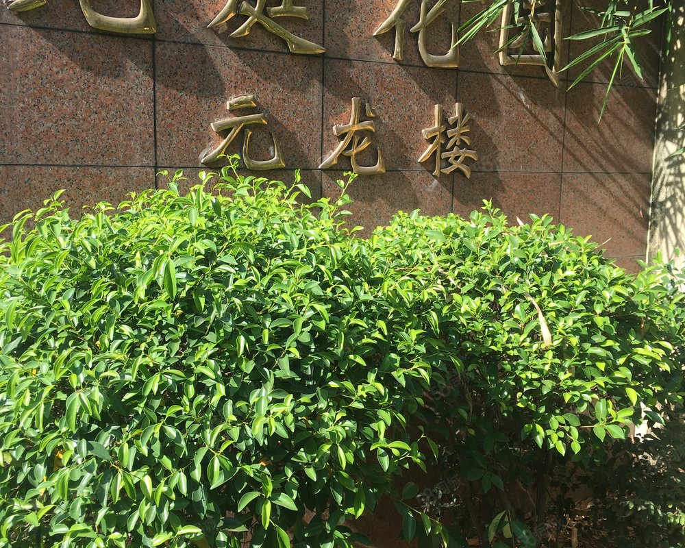 龙庭花园元龙楼小区详情,房价走势,房源,业主论坛】- 福州58同城