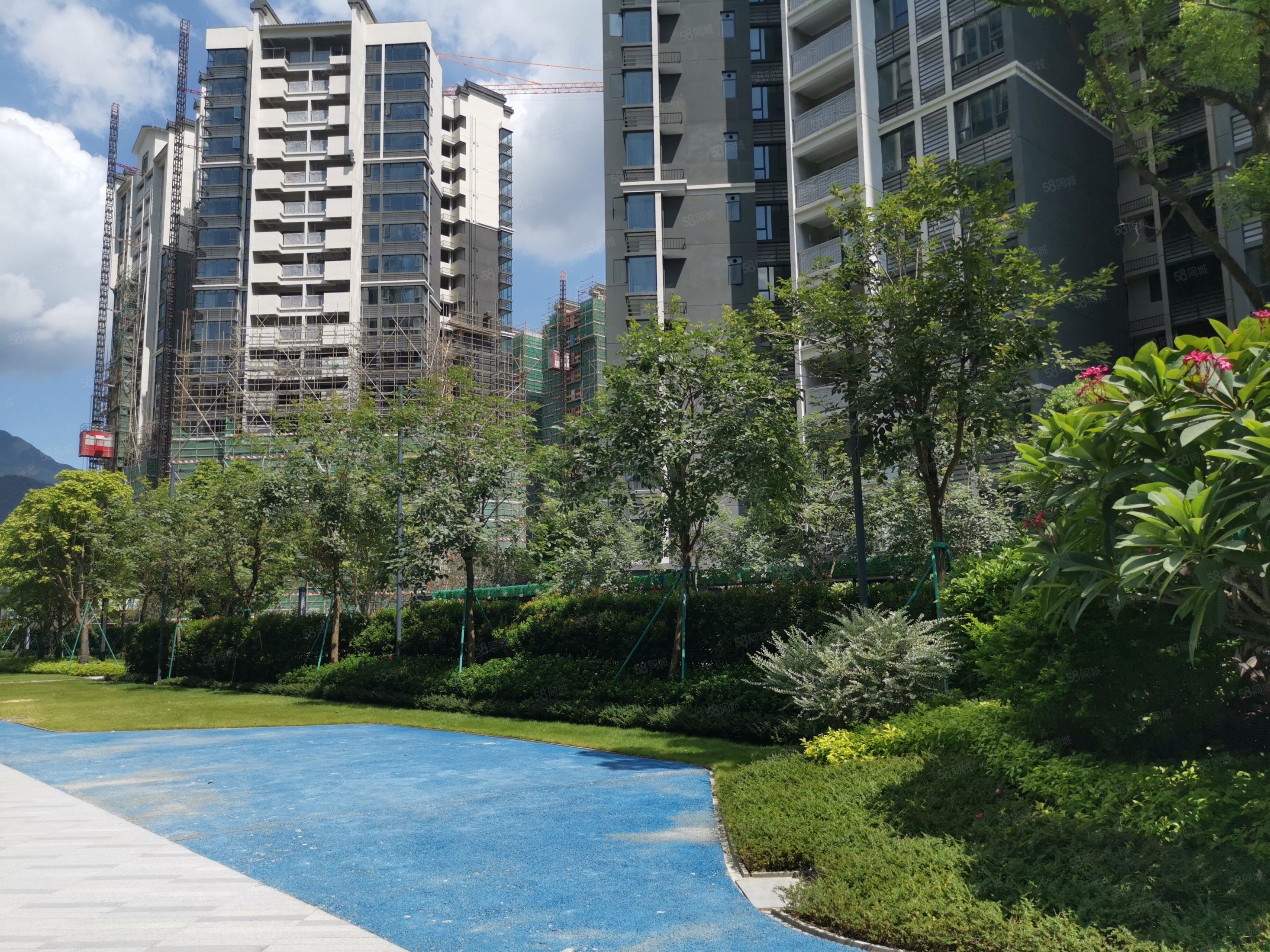 涛汇翠湖湾3室2厅2卫92㎡南北58万