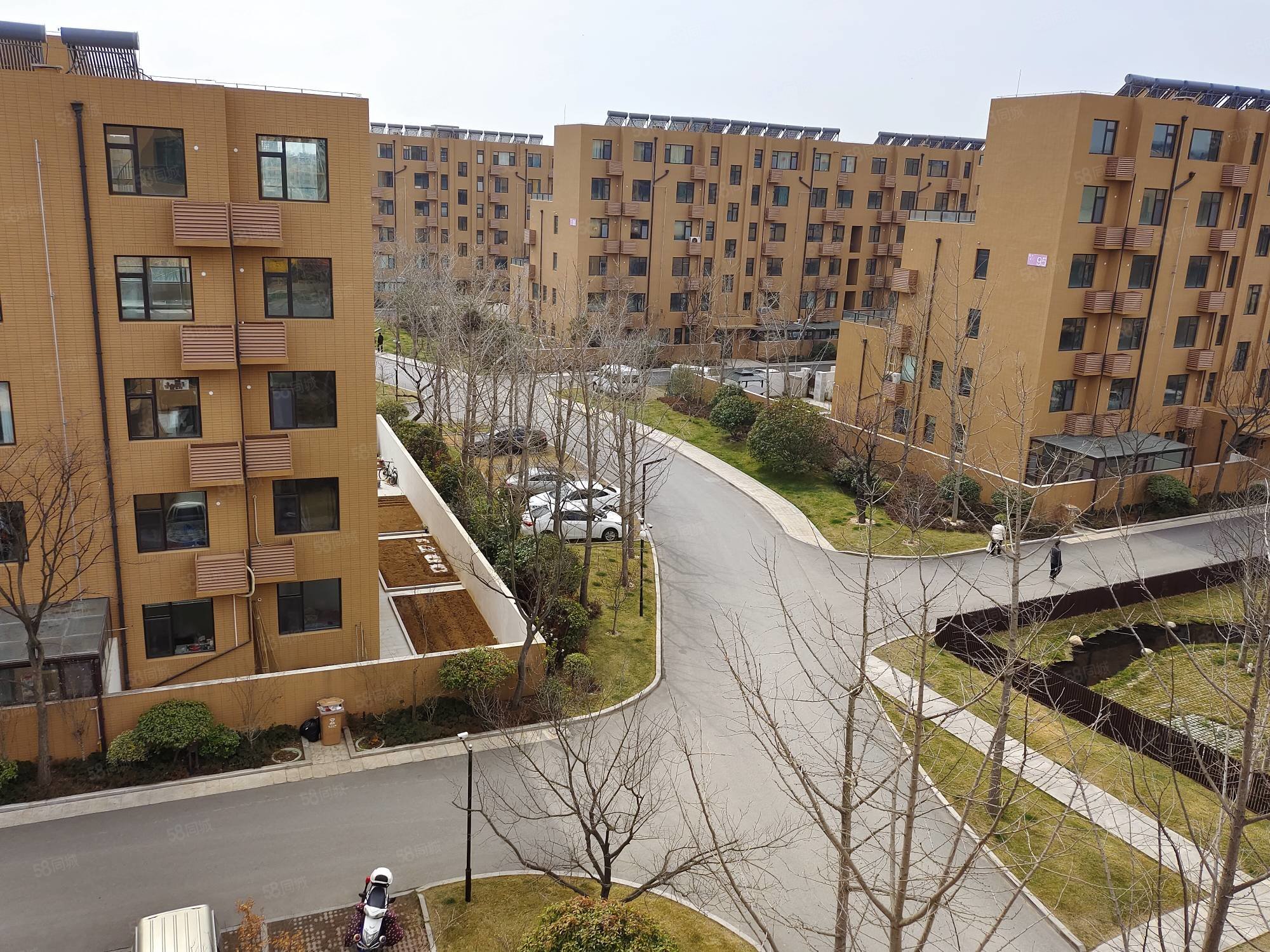 【10图】带院大边户 白鹭湾 203平 流水小院100平 172万,白鹭湾-日照