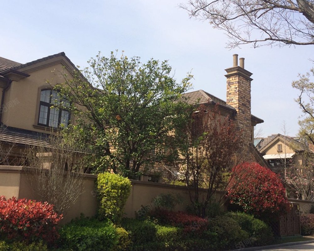 融创81栋长岛(别墅)小区详情,房价走势,房源,业主论坛】- 上海58同城