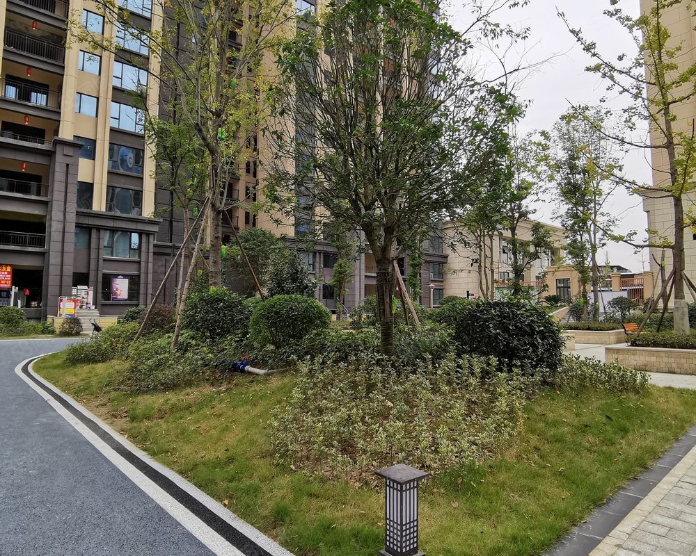 【紫金城四期, 紫金城四期小区详情,房价走势,房源,业主论坛】- 绵阳