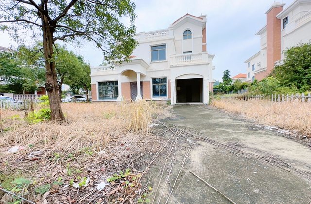 高明碧桂园(三期别墅)6室2厅375.97㎡438万二手房图片