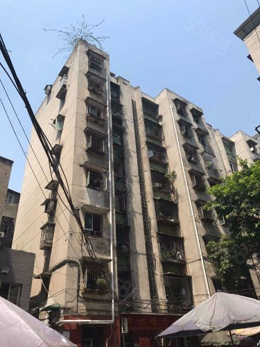 9万买鱼洞中心位置装修大两房户型非常好,新民街133号-重庆58同城