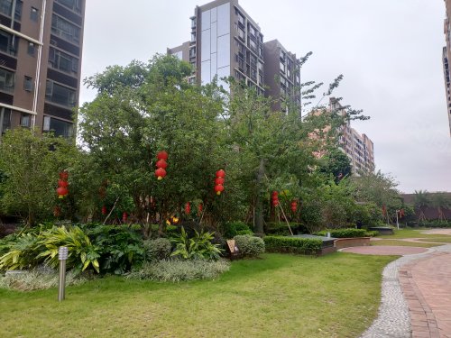 英德新天地王座