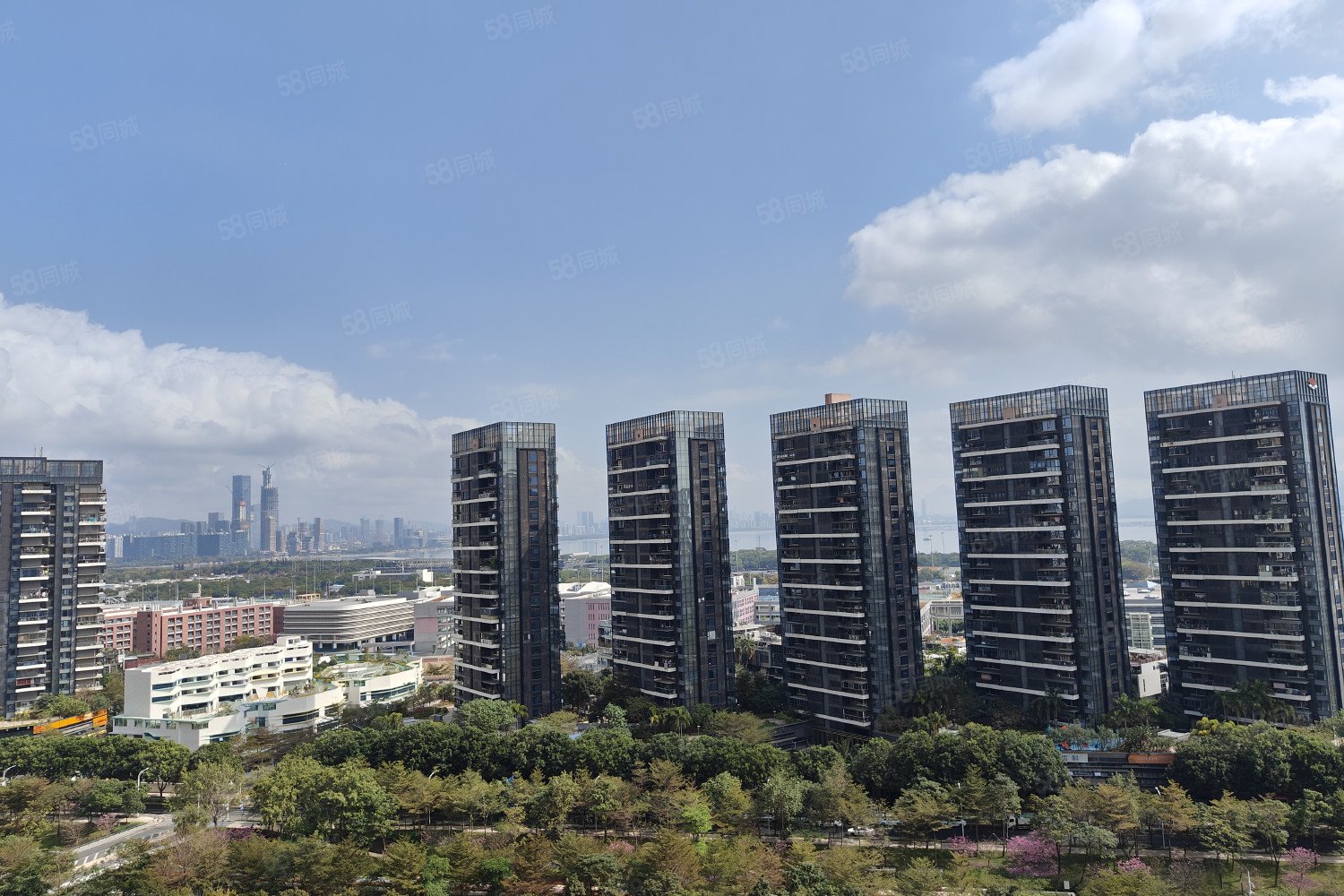 恒裕滨城(二期)4室2厅3卫169.05㎡东南0万