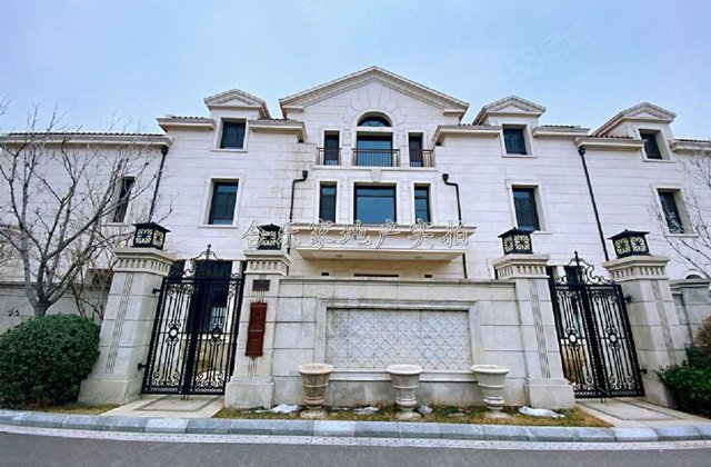 大独栋,一线观景房,河西新梅江,数量 ,美墅金岛