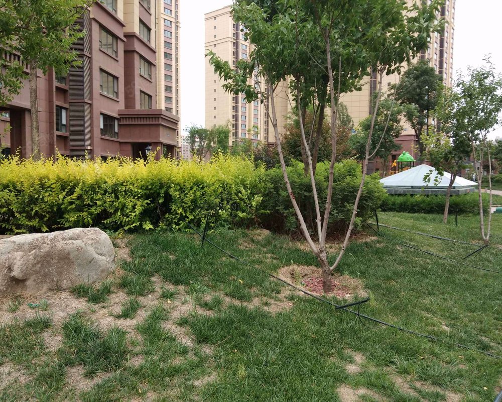 【宝湖锦都, 宝湖锦都小区详情,房价走势,房源,业主论坛】- 银川58