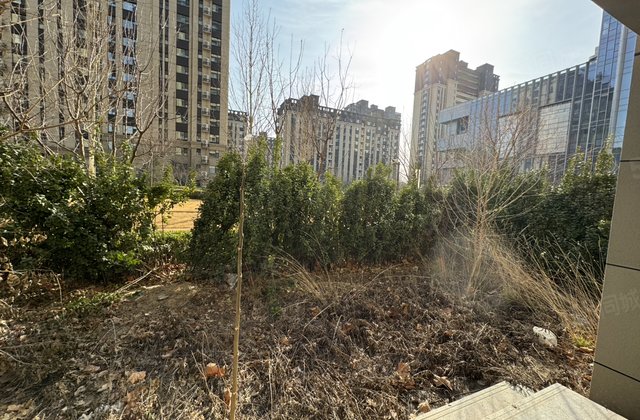 急！民生1号院一楼带院  送储 民生   外国语中学 新一中