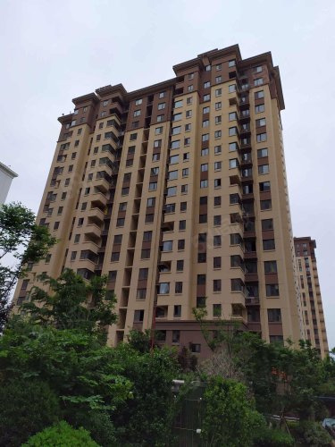 鲁商金悦城毛坯 三室二厅二卫带车位 储藏室147万有证