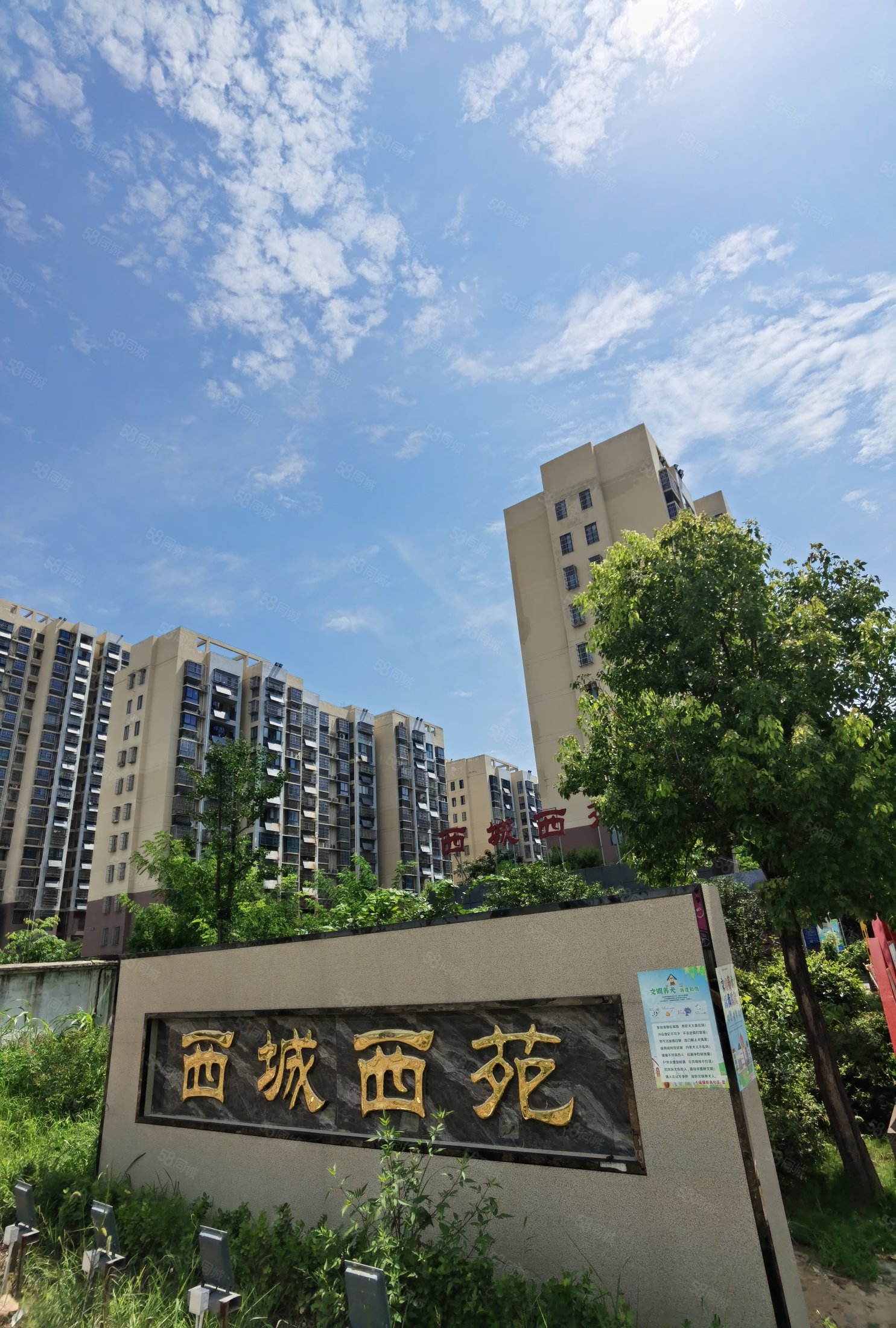 【10图】西城西苑 电梯房 109平 房东急置换 诚意买房,西城西苑-合肥