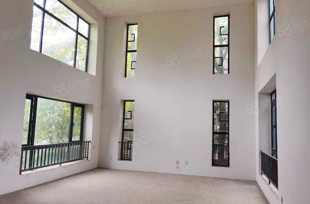 今日田园(二期)6室2厅468㎡430万二手房图片