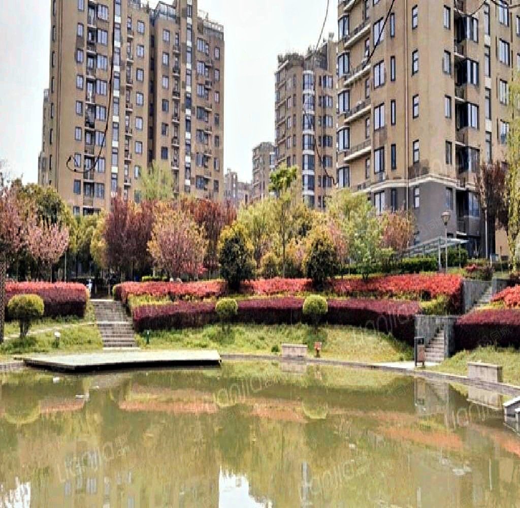 阅城国际二期精装修采光足看房方便房主诚售