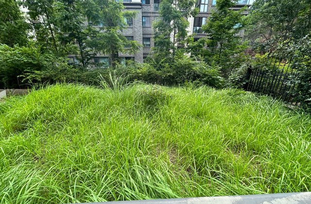 金科美湖湾香山3室2厅111㎡56.6万二手房图片
