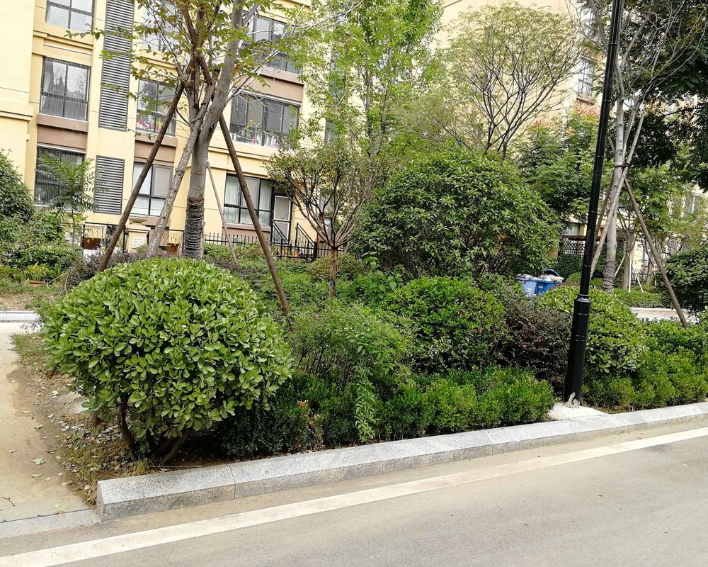 【康桥公馆, 康桥公馆小区详情,房价走势,房源,业主论坛】- 临沂58