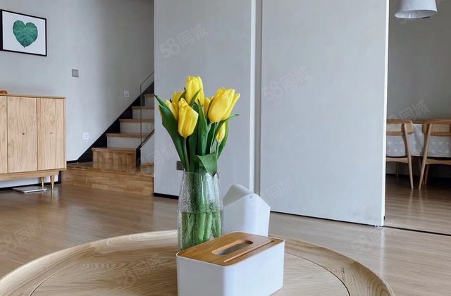 豪华装修 带地下室 诚心出售