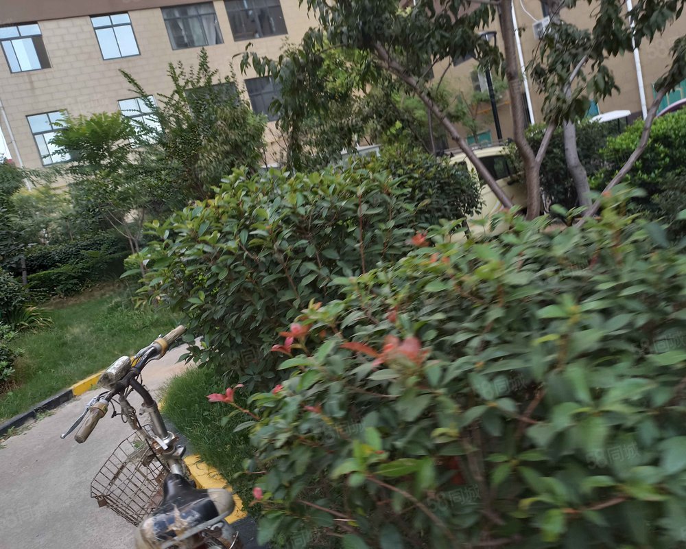 佳和广场(巨野)