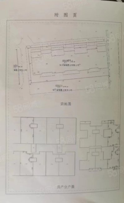 提香湾(别墅)5室3厅3卫333.4㎡南北630万