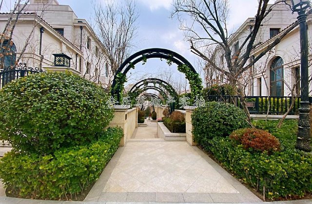 美墅金岛|独栋别墅现房超大私家庭院海逸王墅卡梅  6室2厅5卫488.