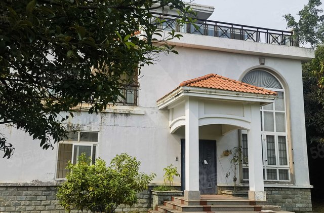 滨江园5室3厅288.15㎡368万二手房图片