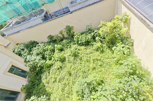 嘉裕第六洲斑斓屿4室3厅258.99㎡400万二手房图片