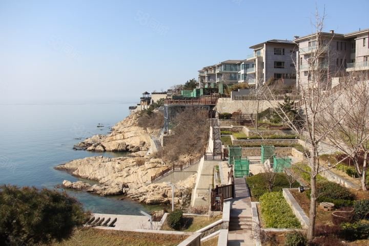 金海湾 碧海庄园大双拼带电梯带院子别墅 450平送超大花园