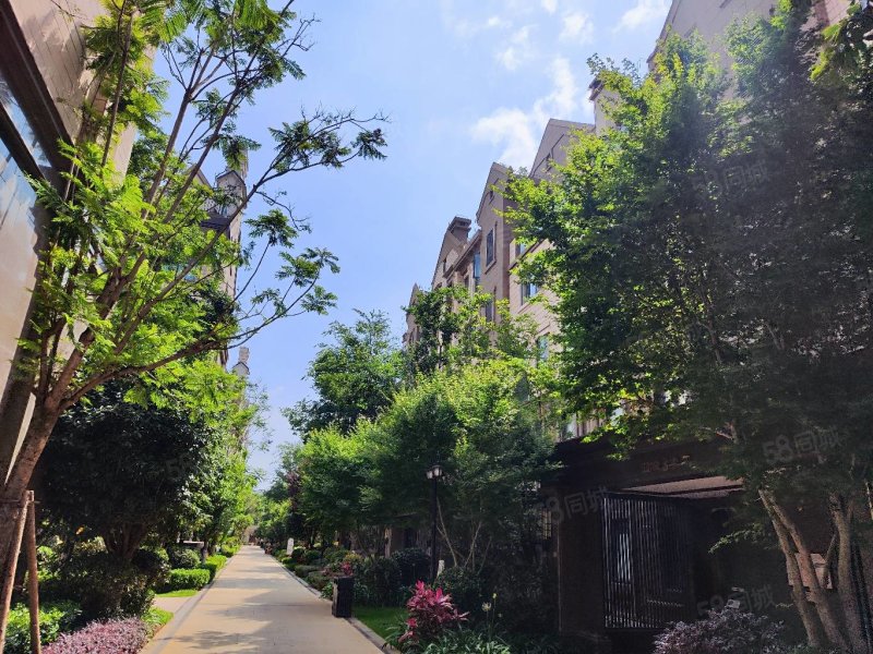 生态半岛联排端头 建面250平实得500平 花园160平米