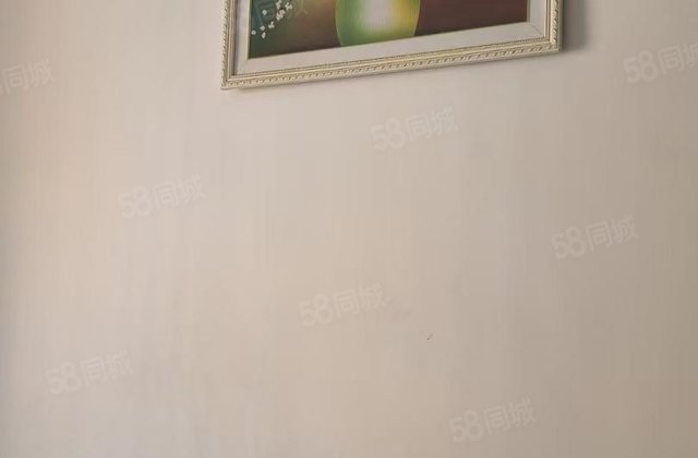 星光水晶城(西区) 购物方便 装修好 医疗配套成熟 大两房