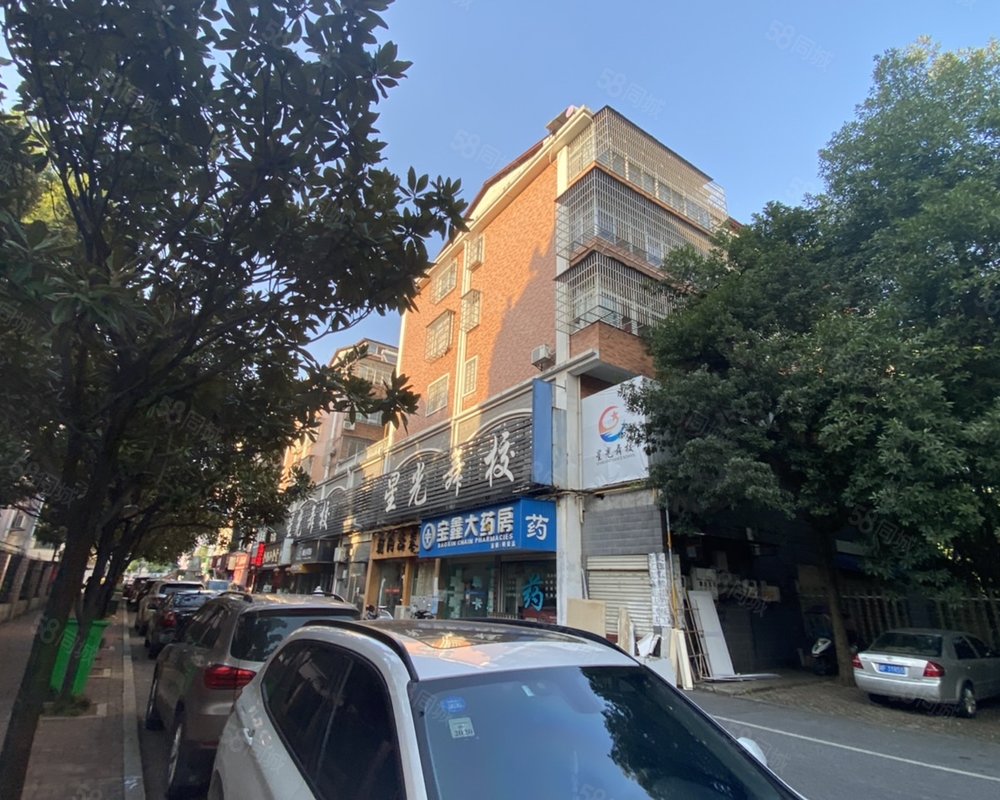 金湖花园岳阳楼