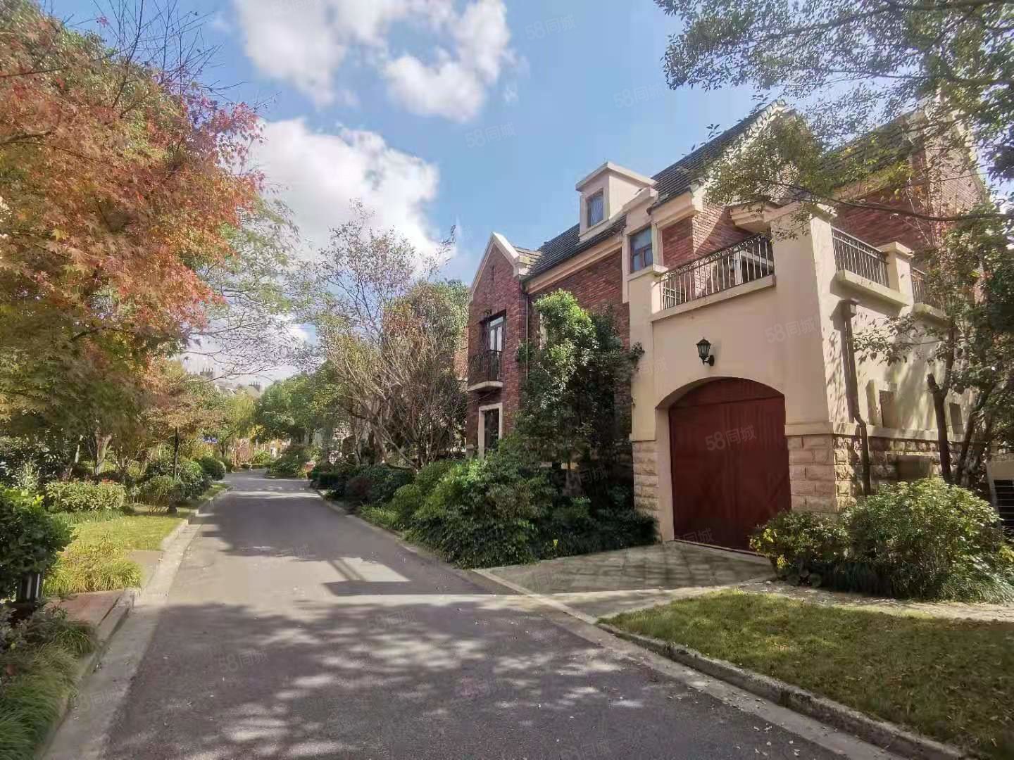 英伦独栋别墅 赠下沉庭院地下室400平花园 松江南部新城