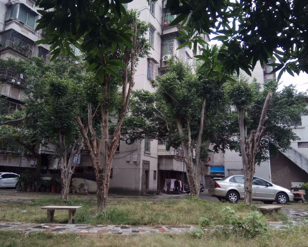 【黄岐花园, 黄岐花园小区详情,房价走势,房源,业主论坛】- 佛山58