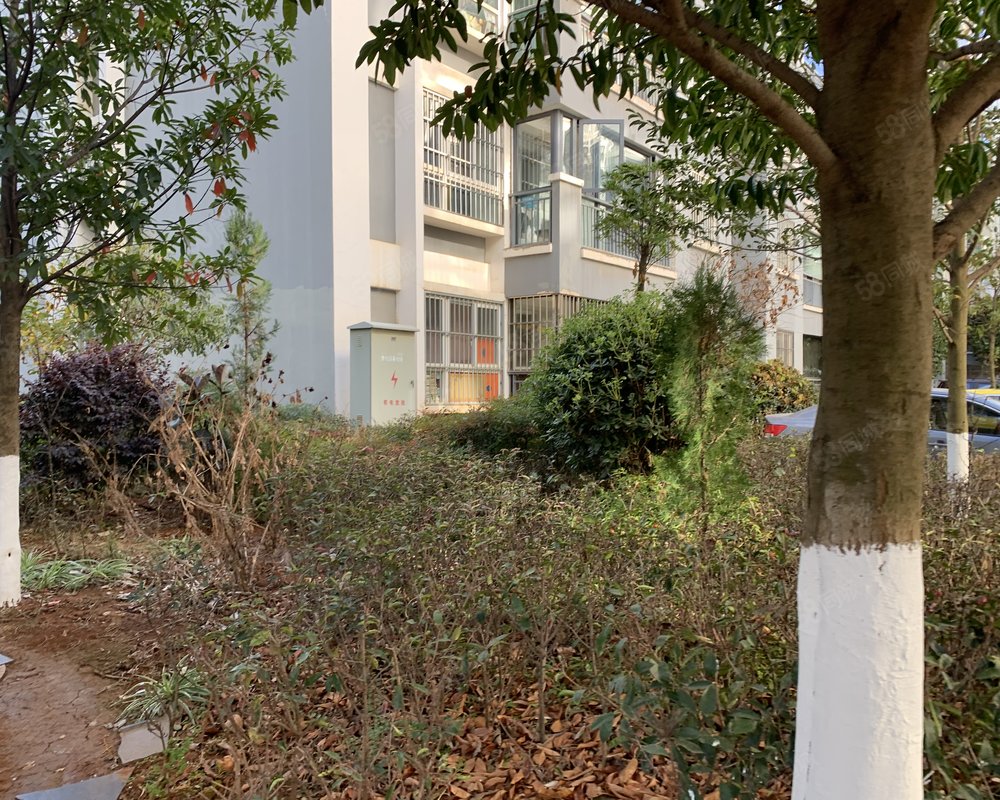 龙湖花园二期南区