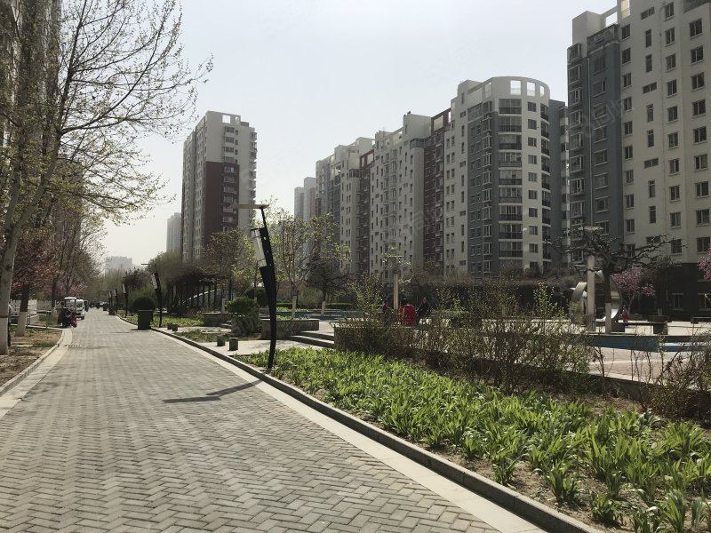 好楼层明厨明卫大三居双卫落地窗大客厅丽景蓝湾a区