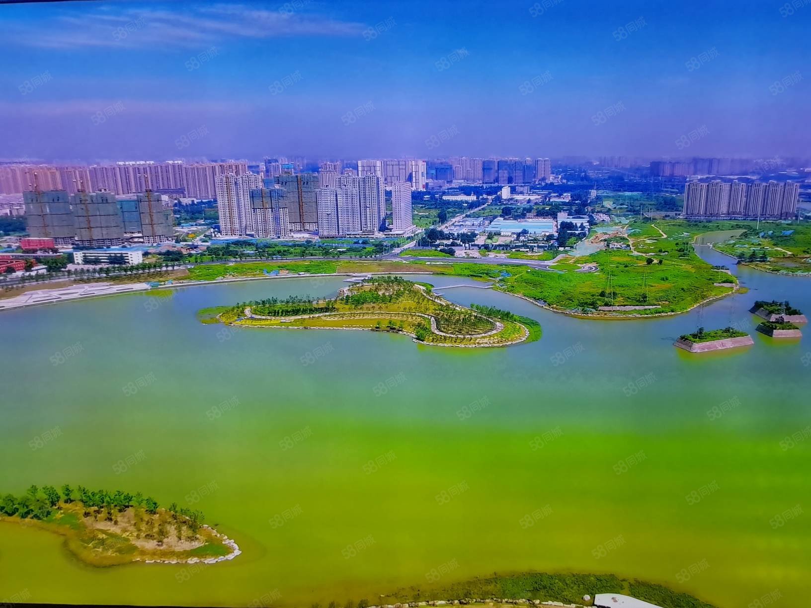 急卖西三环农业路碧桂园西湖精装修西流湖公园外国语小学捡漏特价