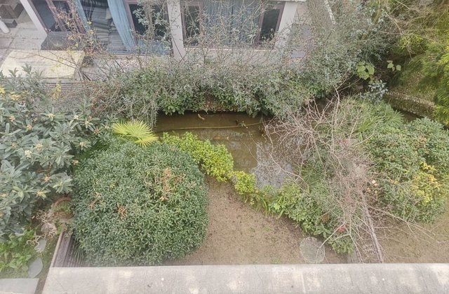 黄龙溪谷(别墅)3室2厅86㎡179.8万二手房图片