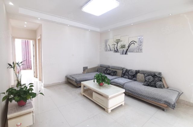 振兴路上 锦绣家园 全屋精装 南北通透 商品房 随时看房