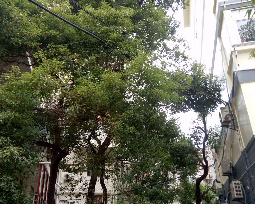 【景江公寓, 景江公寓小区详情,房价走势,房源,业主论坛】- 南昌58