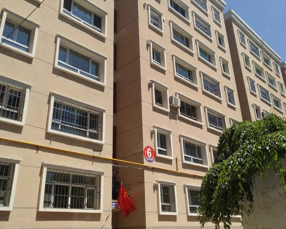 劳动街有几个鸡窝点