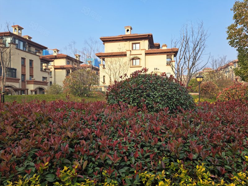 别墅美盛白河湾电梯五层前后院子带两个车位楼顶平台豪装