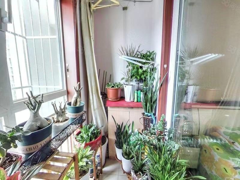 馬可匯2室1廳1衛(wèi)87㎡東西185萬