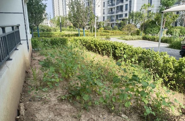 蓝光未来阅璟3室2厅120㎡67万二手房图片