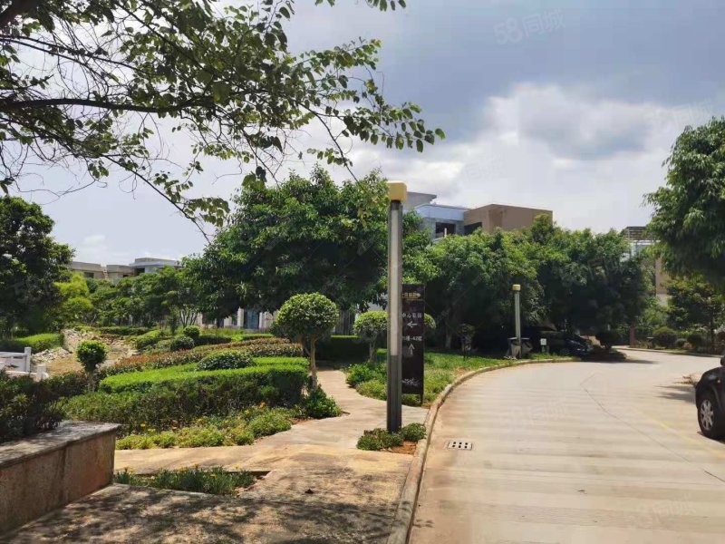 杏林苑(蒙自)5室3厅3卫322.66㎡南北220万